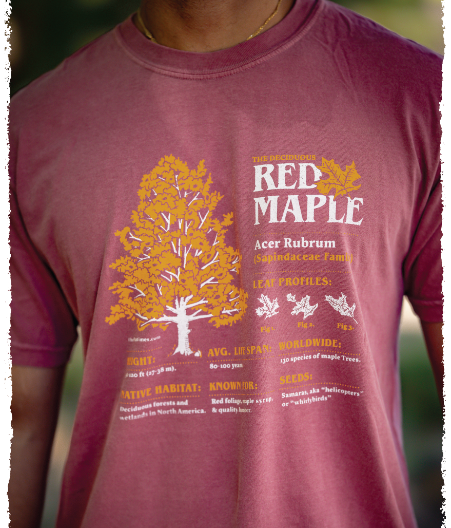 Red Maple