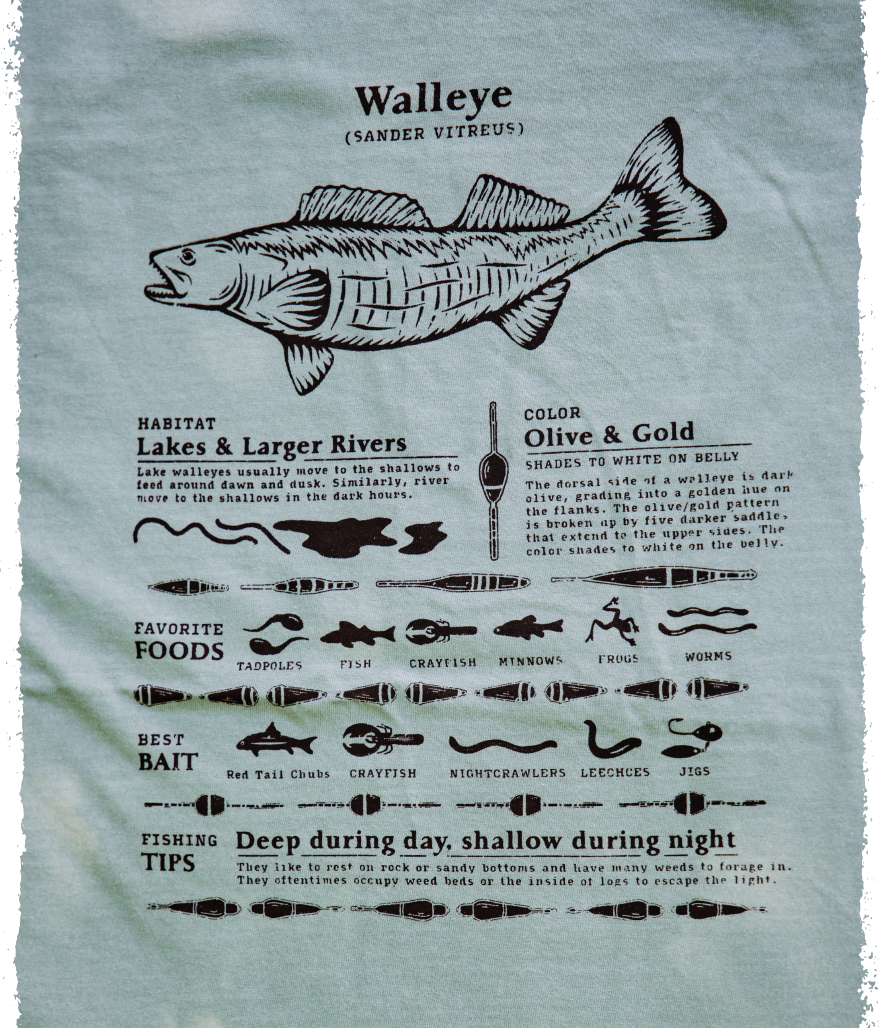 Walleye Infographic