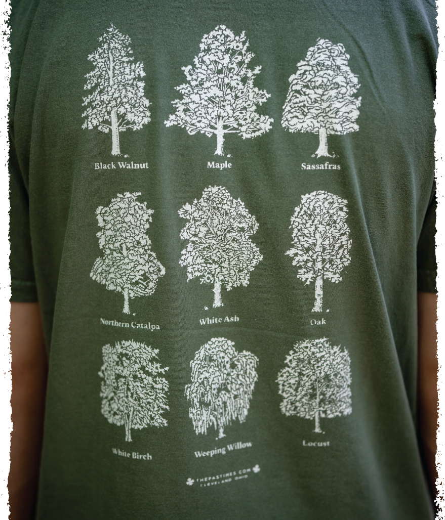 Tree Identifier