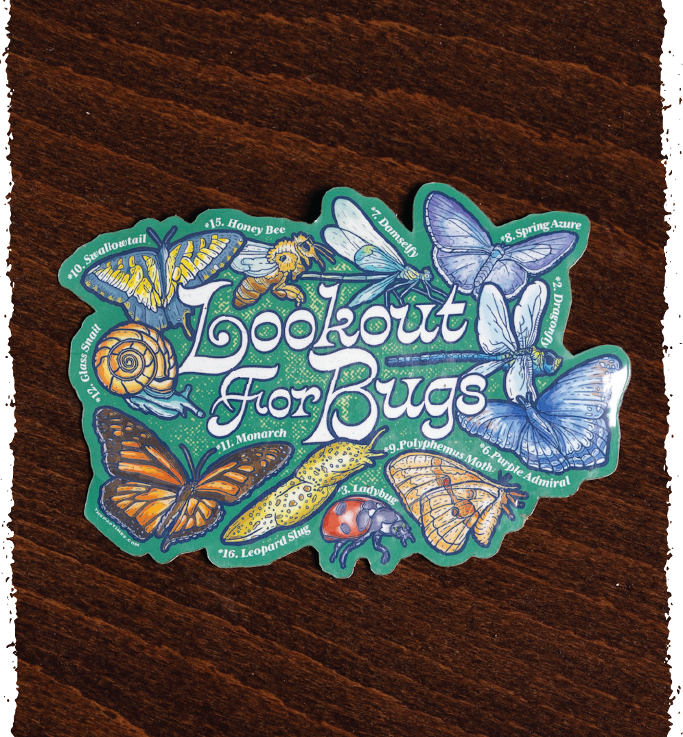Lookout for Bugs Sticker – The Pastimes