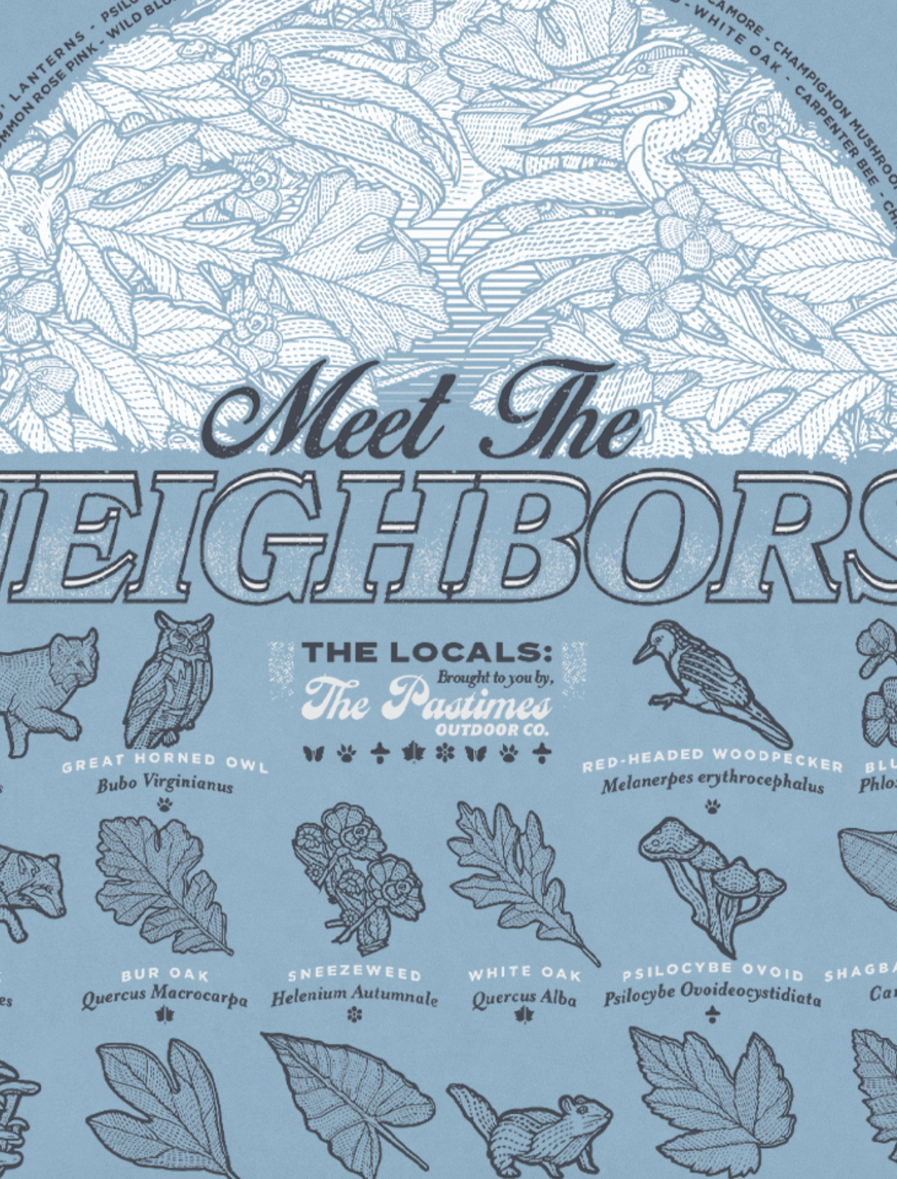 Meet the Neighbors