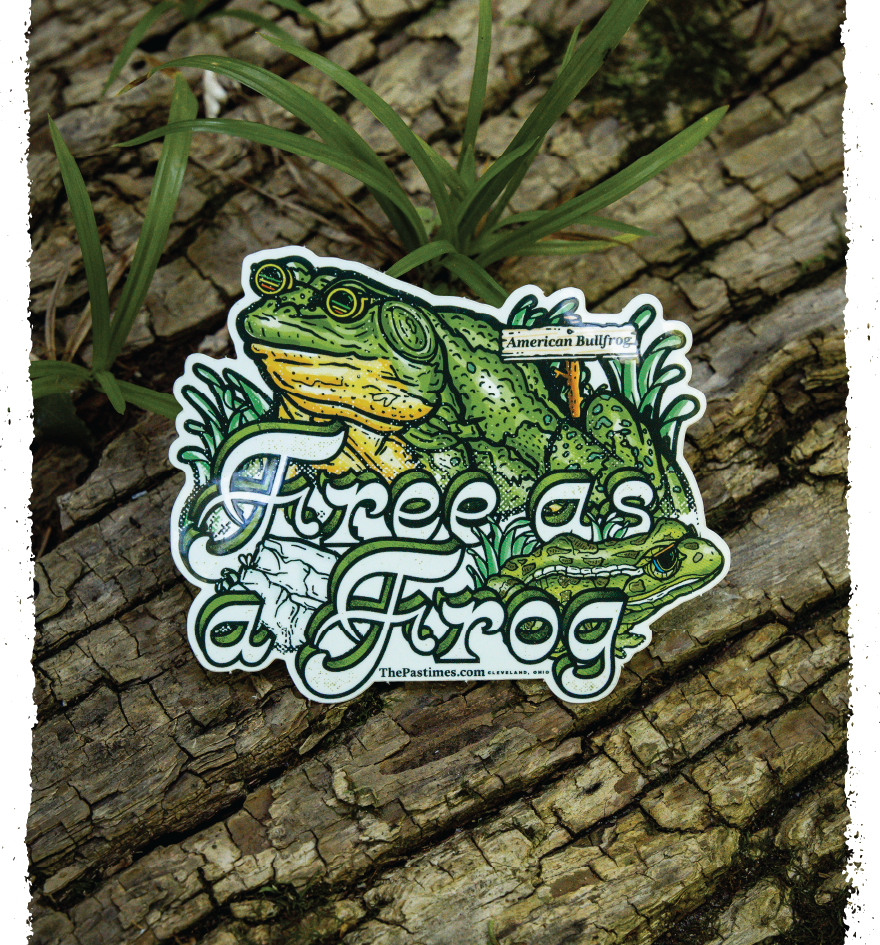 Free as a Frog Sticker