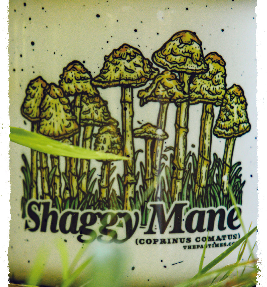 Shaggy Mane Mug