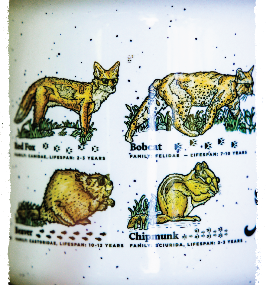 Mammals of the Midwest Mug