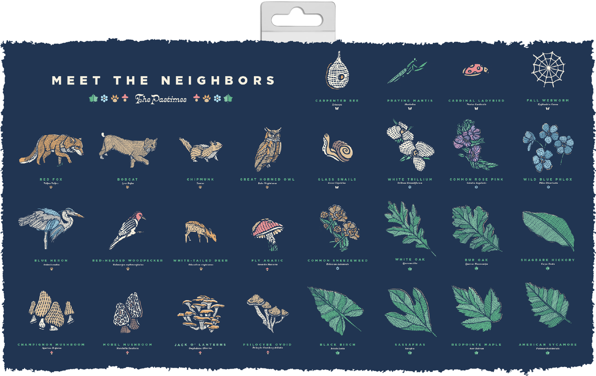 Meet The Neighbors Sticker