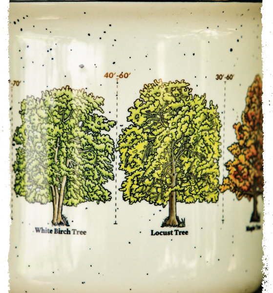 Tall Trees Mug