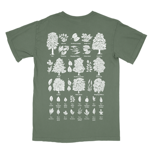 Tree Identifier